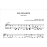 WILDFLOWER 碧梨 野花 钢琴谱 五线谱